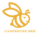โลโก้ Carpenter Bee
